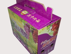 建湖彩色紙箱生產(chǎn)廠家